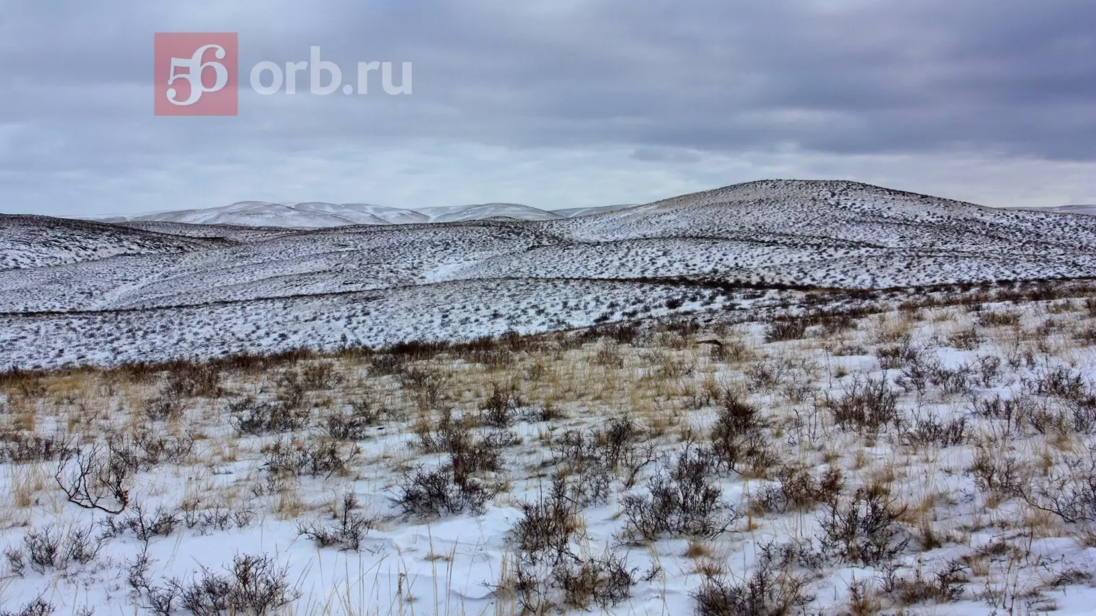 Поля в Оренбуржье присыпало снегом
