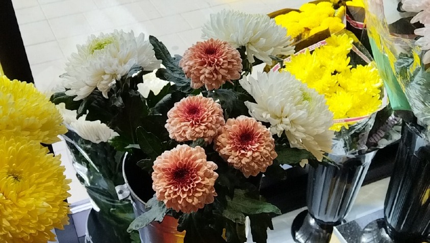 В цветочных магазинах можно купить цветы за 1200-2500 рублей