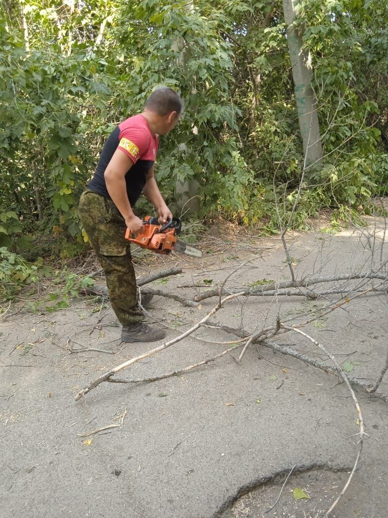 Рабочие ведут опиловку деревьев под Оренбургом
