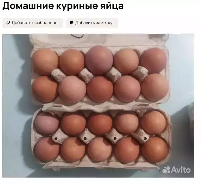 Объявление о продаже яиц