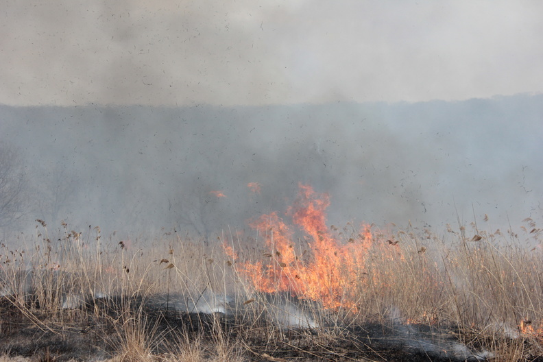 Поля вдоль трассы Оренбург-Соль-Илецк охватил крупный пожар