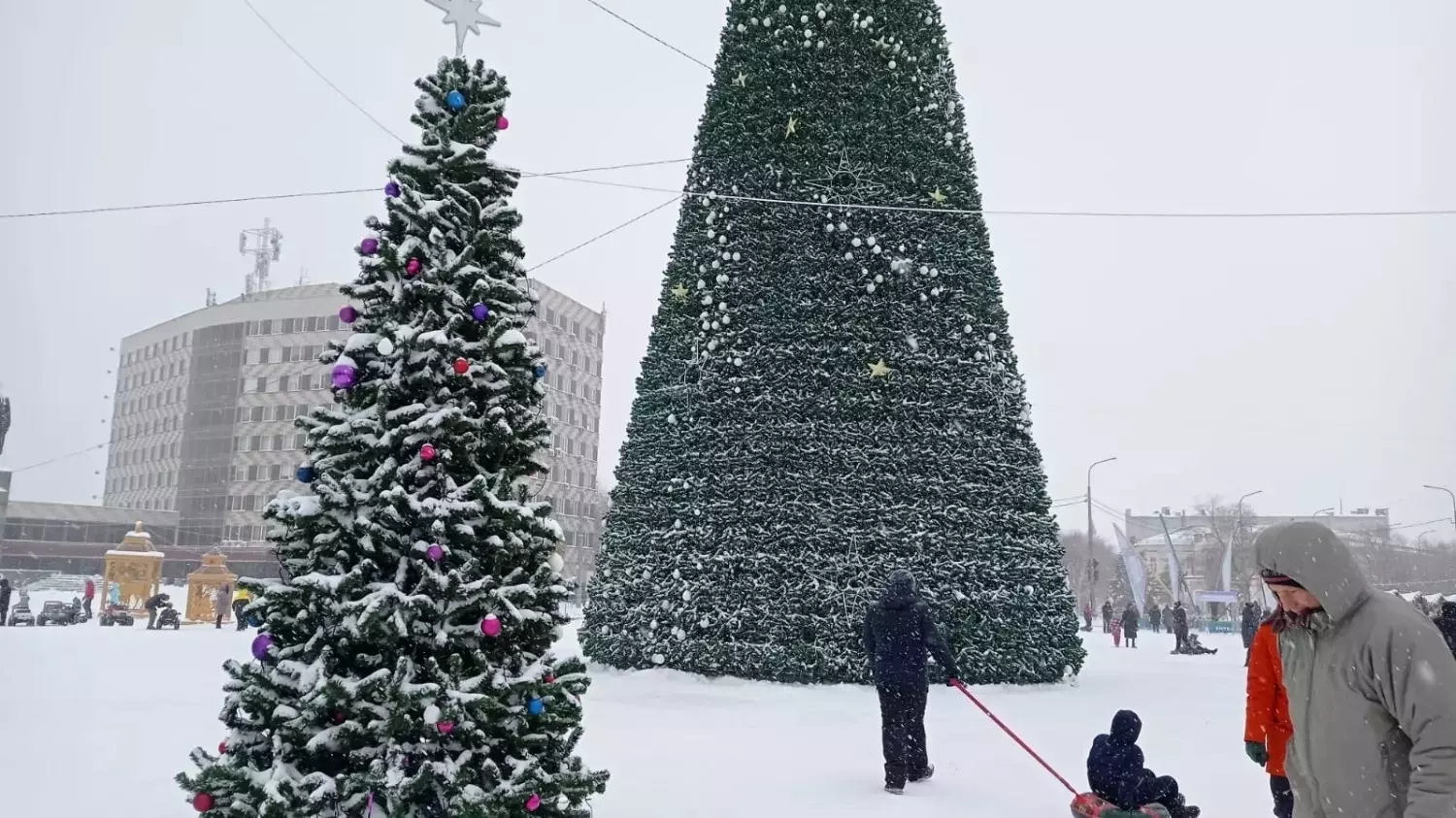Главная елка Оренбурга в 2023 году 