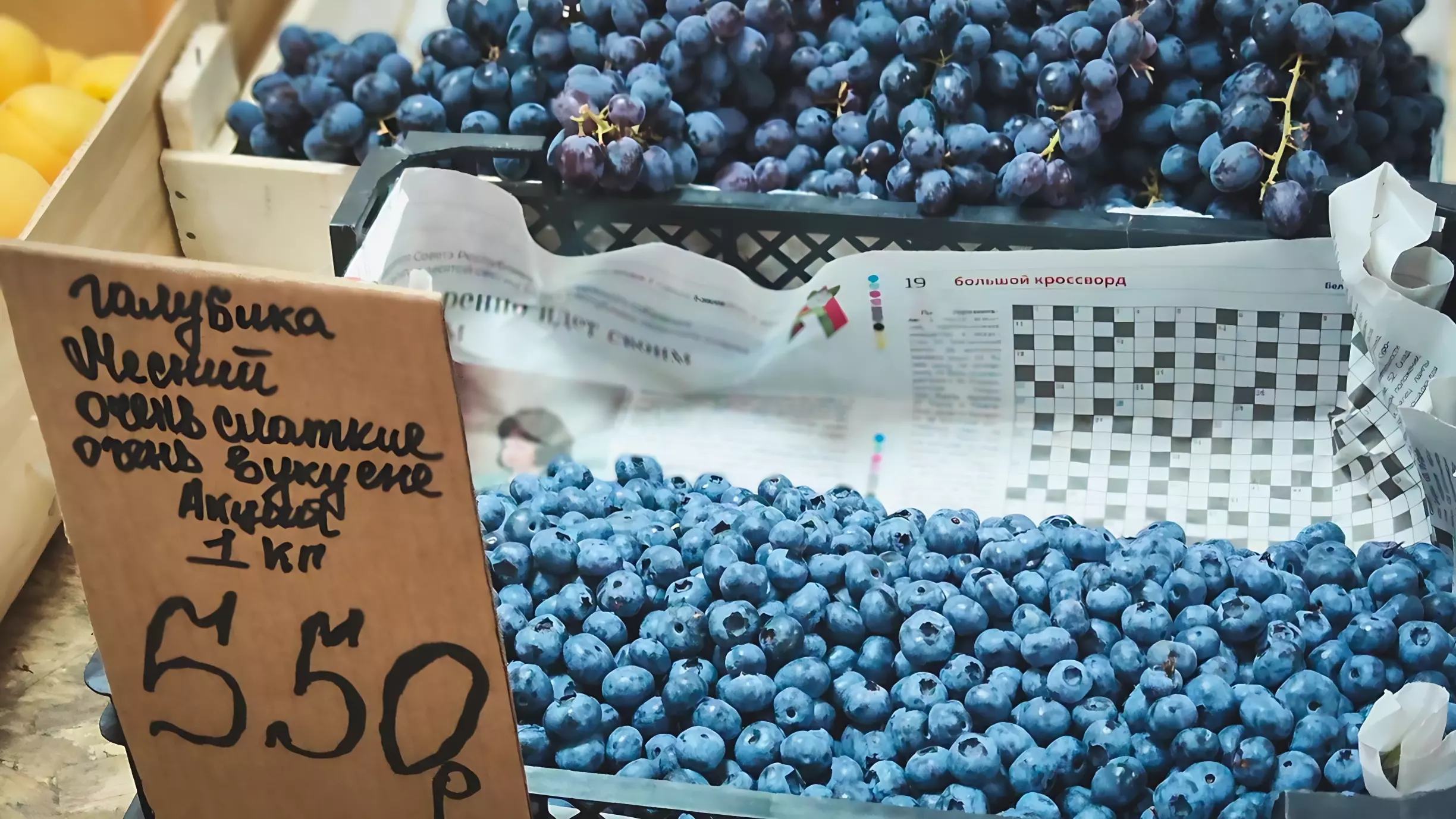 Голубика — ягода полезная, жаль в Оренбуржье не растет