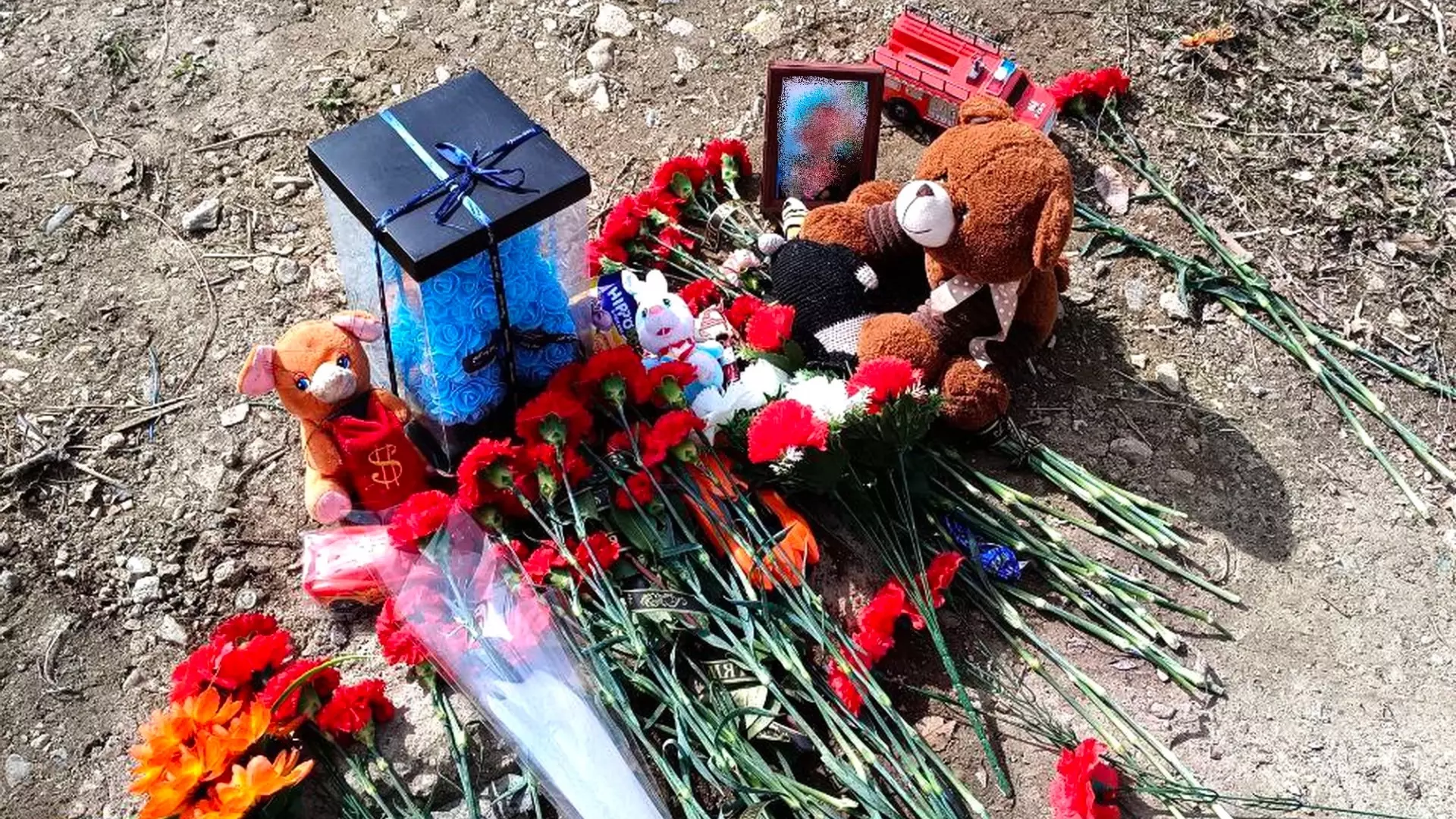 Цветы и игрушки на месте гибели мальчика