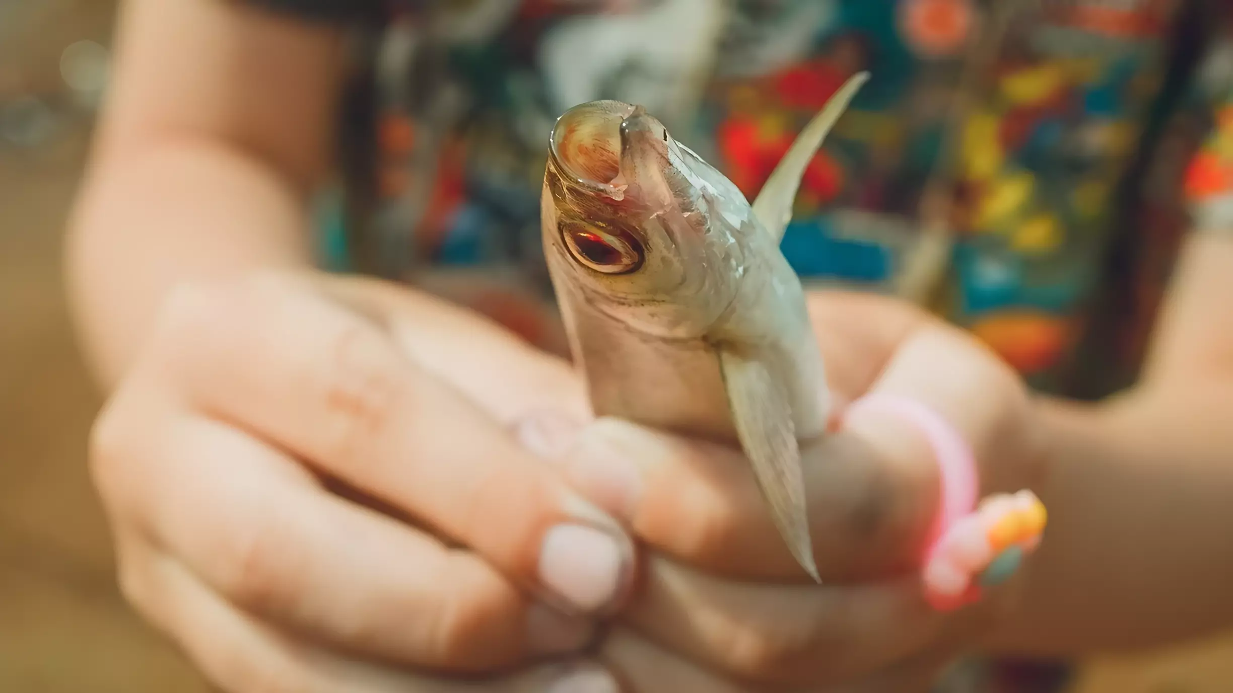 В Орске рыбу можно ловить руками прямо на асфальте