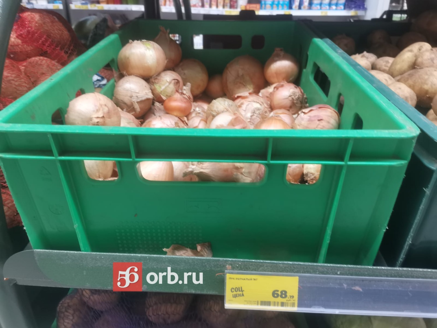 Цены на лук в Оренбурге