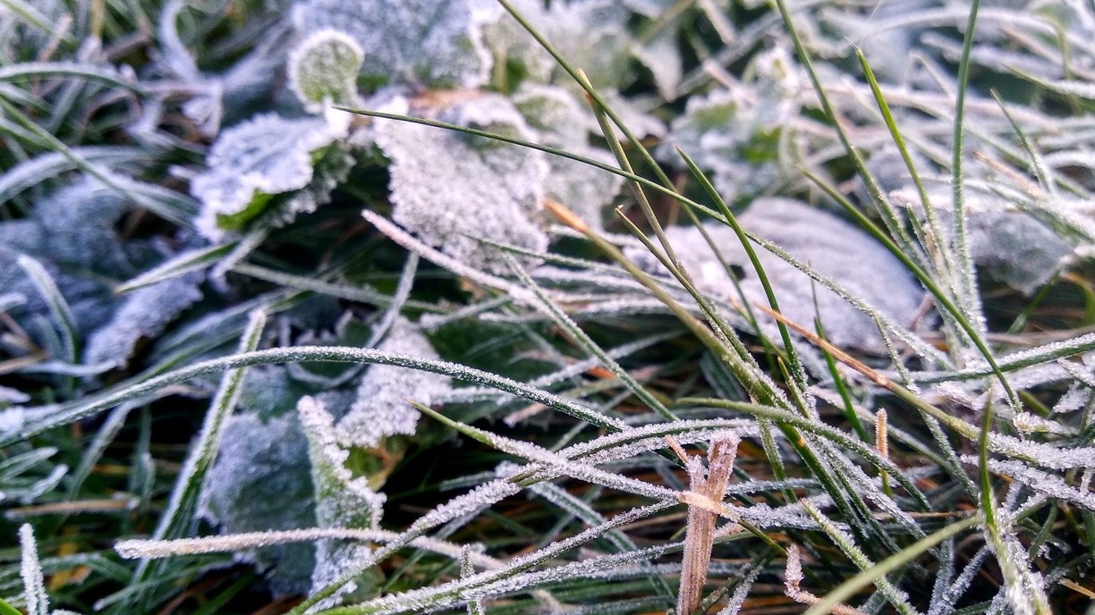 В Оренбуржье прогнозируют ночные заморозки