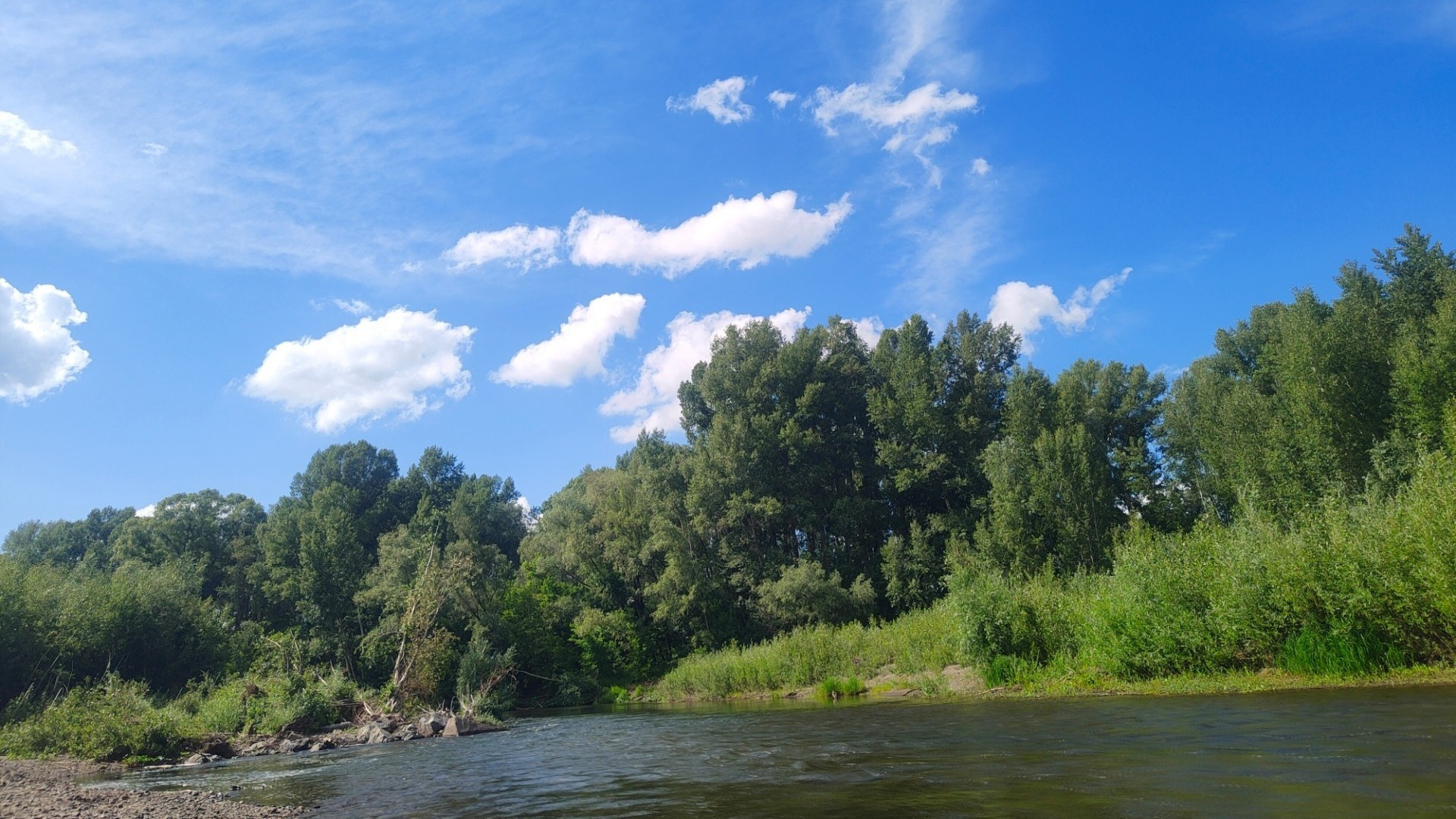 Река в Оренбуржье