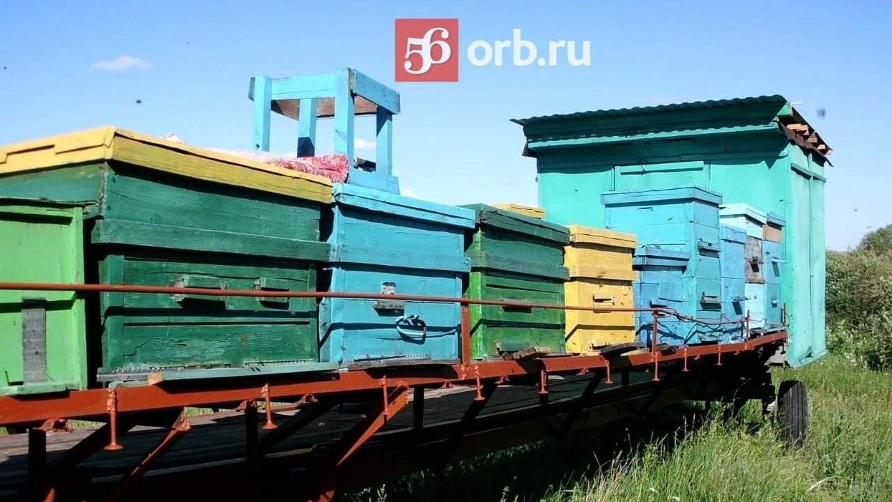 Пасечник в Оренбургской области вывозит ульи в поля