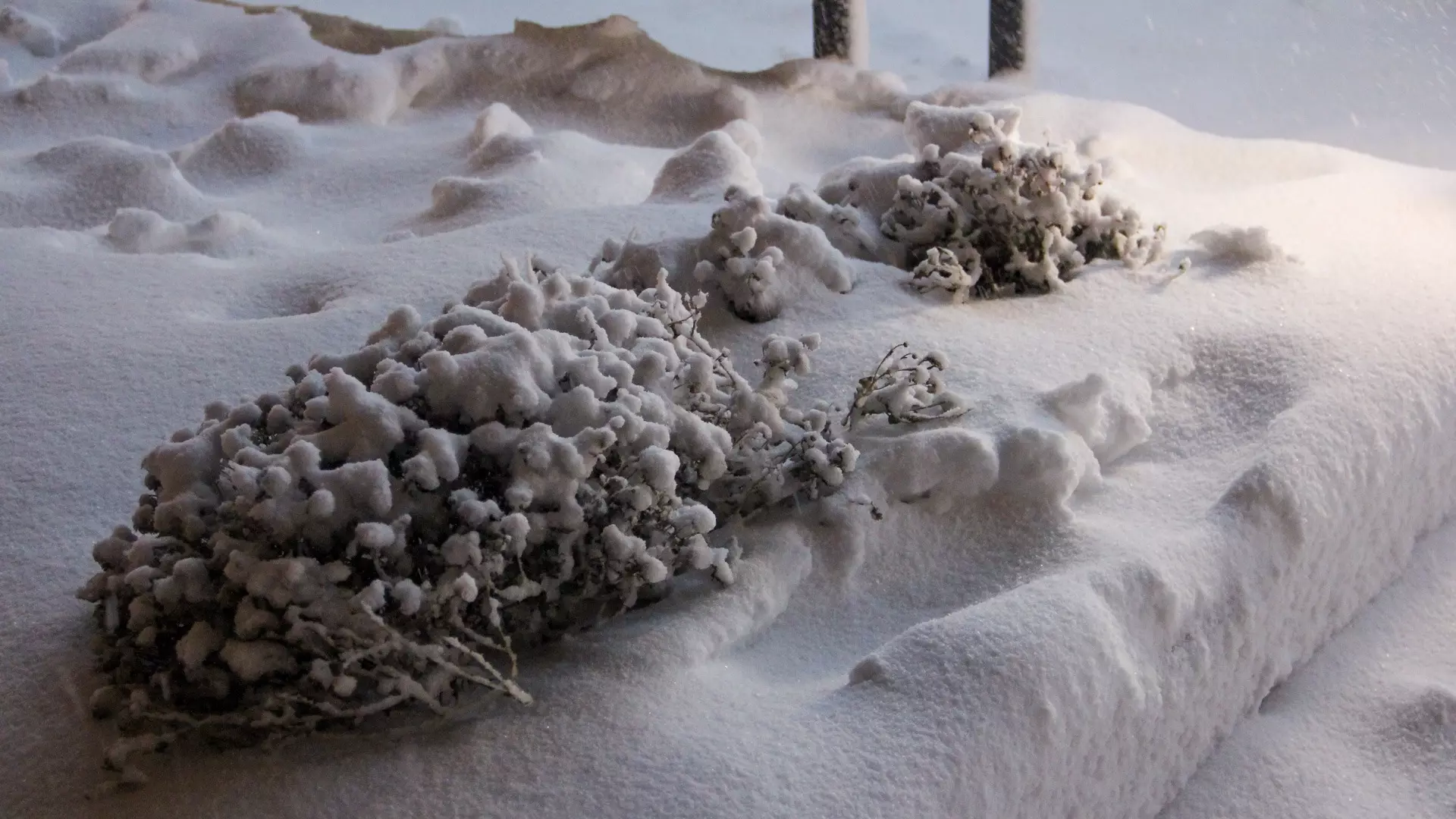 В Оренбургской области ударят сильные морозы