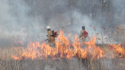 В Новосергиевском районе потушили природный пожар