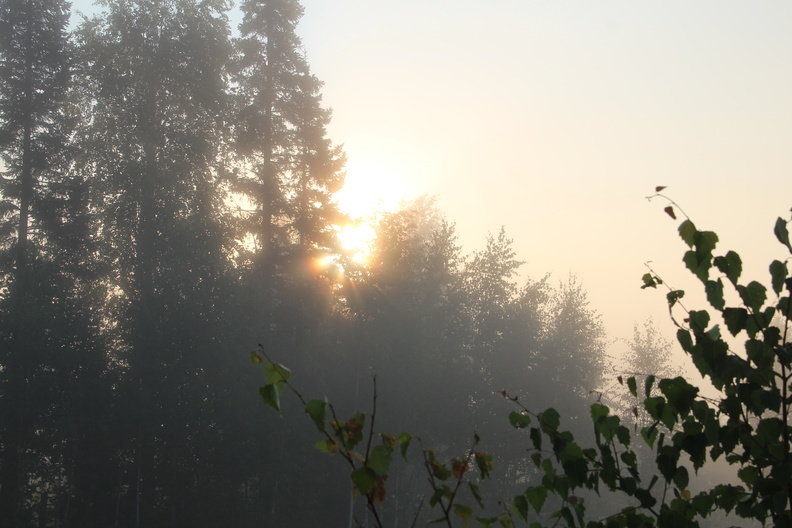 Утром 19 сентября в Оренбурге ожидается туман