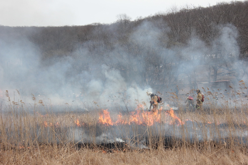 С 20 апреля в Оренбуржье официально начинается пожароопасный сезон